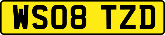 WS08TZD
