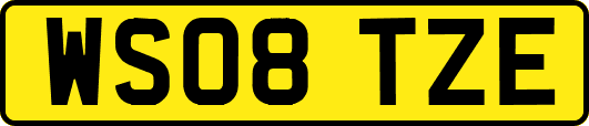 WS08TZE