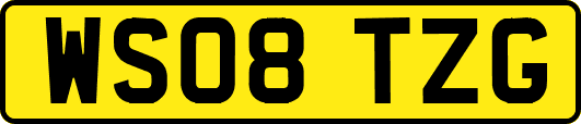 WS08TZG