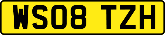 WS08TZH