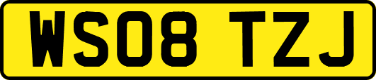 WS08TZJ