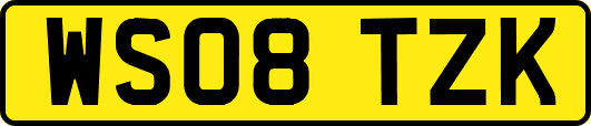 WS08TZK