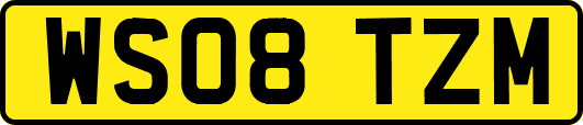 WS08TZM