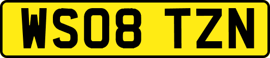 WS08TZN