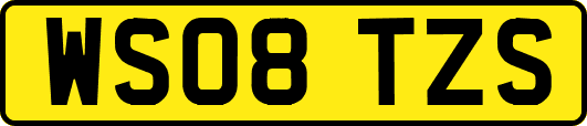 WS08TZS