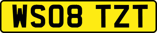 WS08TZT