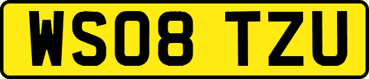 WS08TZU