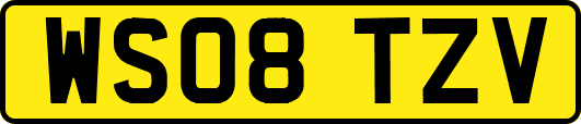 WS08TZV