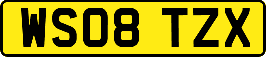 WS08TZX
