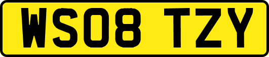 WS08TZY