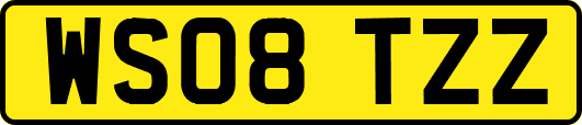 WS08TZZ