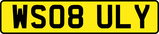 WS08ULY