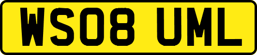 WS08UML