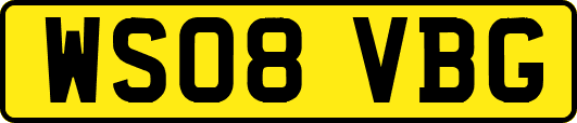 WS08VBG