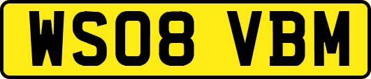WS08VBM