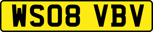 WS08VBV