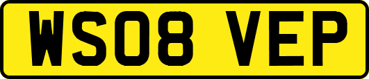 WS08VEP
