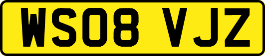 WS08VJZ
