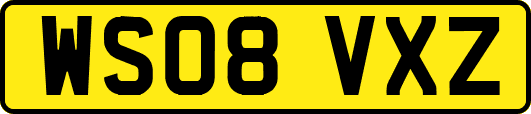 WS08VXZ