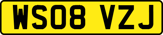 WS08VZJ