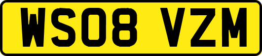 WS08VZM