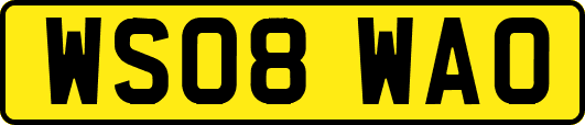 WS08WAO