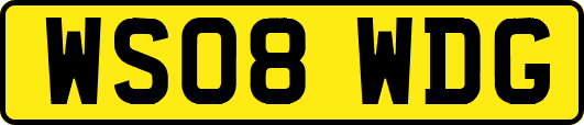 WS08WDG