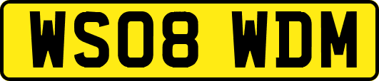 WS08WDM