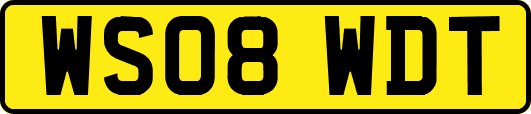 WS08WDT
