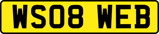 WS08WEB