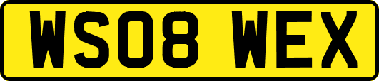WS08WEX