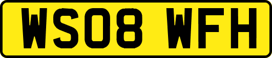 WS08WFH