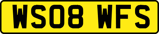WS08WFS