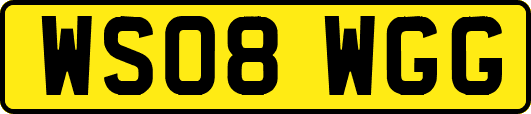 WS08WGG