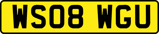 WS08WGU