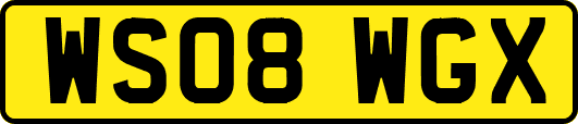 WS08WGX