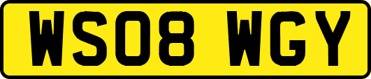 WS08WGY