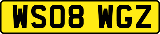 WS08WGZ