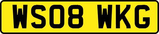 WS08WKG