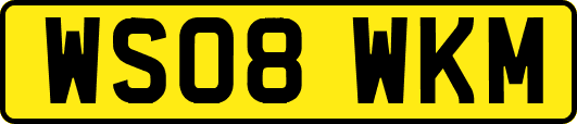WS08WKM