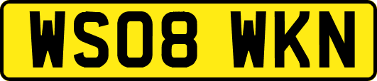 WS08WKN