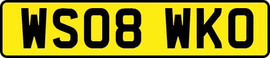 WS08WKO