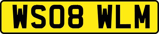 WS08WLM