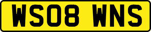 WS08WNS