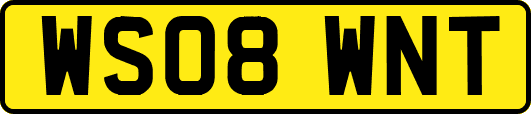 WS08WNT