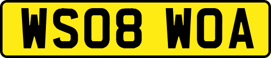 WS08WOA