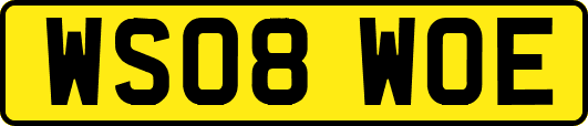 WS08WOE