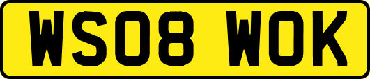 WS08WOK