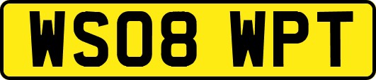WS08WPT