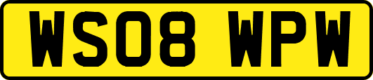 WS08WPW